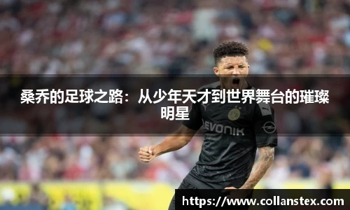 OD体育官方网站